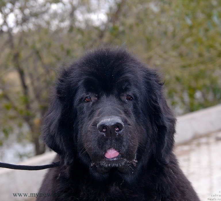 Фотография № 137405