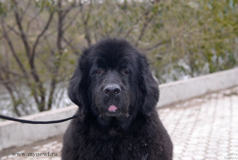 Фотография № 137406