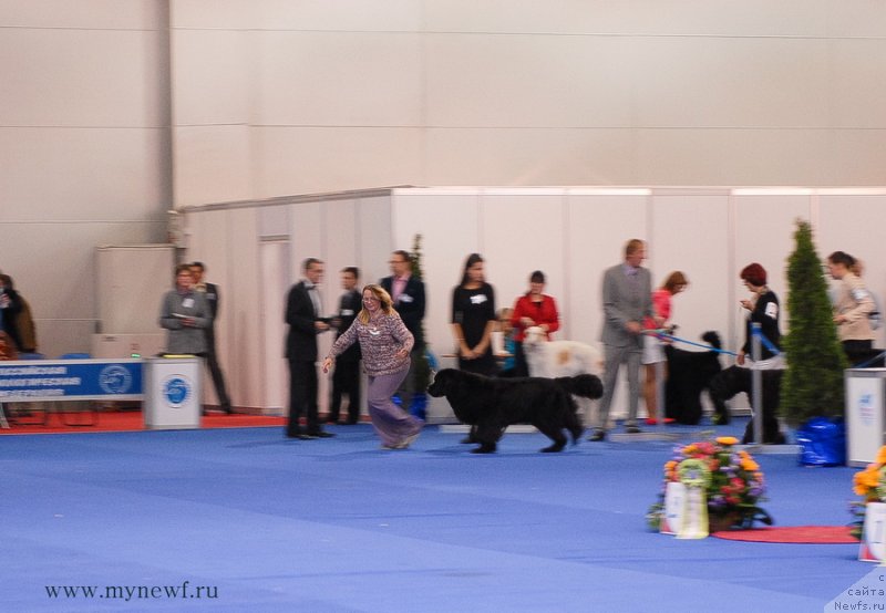 Фотография № 137407