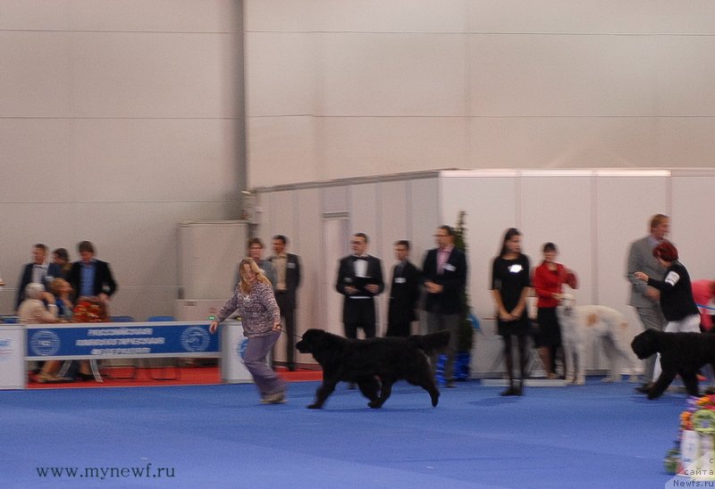 Фотография № 137408