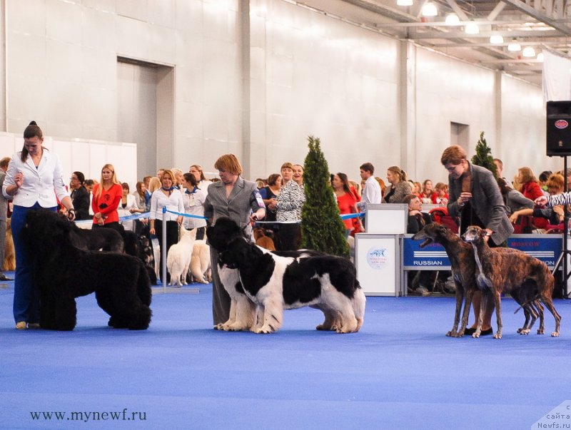 Фотография № 137412