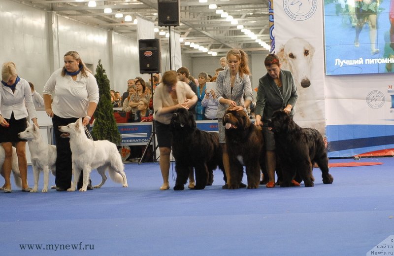 Фотография № 137416