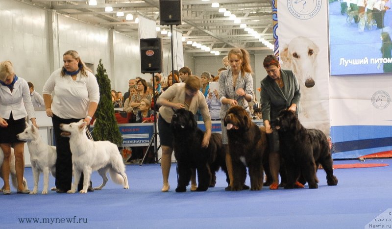 Фотография № 137417