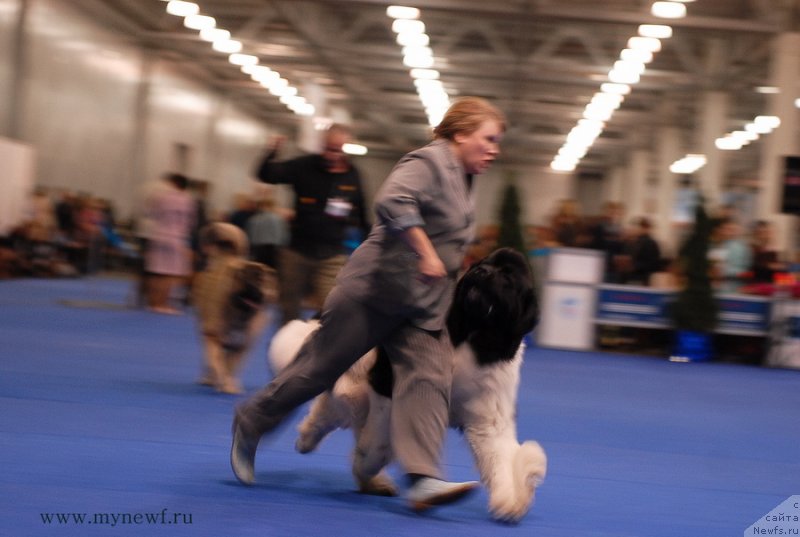 Фотография № 137420