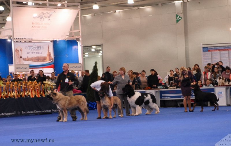 Фотография № 137421