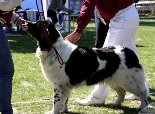 Фотография № 137449