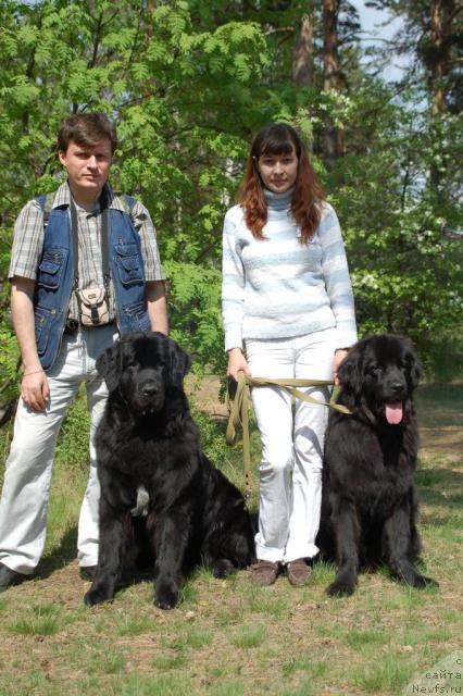 Фото: Oleg Bocharov (Олег Бочаров), ньюфаундленд Mag Ispolin Kopperfil'd (Маг Исполин Копперфильд), ньюфаундленд Ryicar' Blagorodnyiy ot Marleon Dusvik (Рыцарь Благородный от Марлеон Дусвик), Dar'ya Novickaya (Дарья Новицкая)