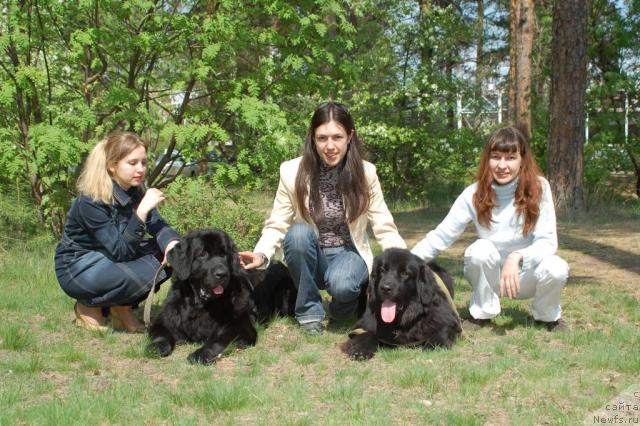 Фото: Aleksandra Kanunnikova (Александра Канунникова), ньюфаундленд Mag Ispolin Kopperfil'd (Маг Исполин Копперфильд), ньюфаундленд Ryicar' Blagorodnyiy ot Marleon Dusvik (Рыцарь Благородный от Марлеон Дусвик), Dar'ya Novickaya (Дарья Новицкая)