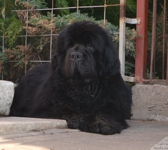 Фотография № 137543