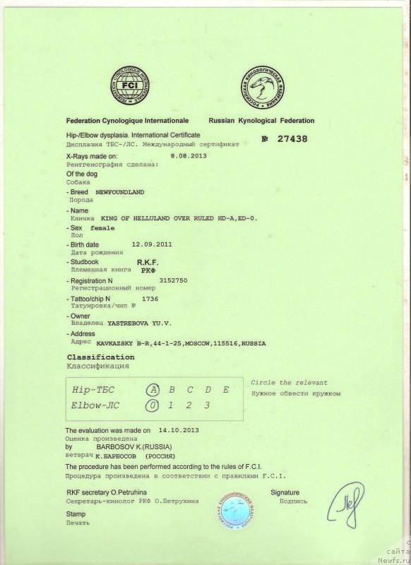 Фото: ньюфаундленд King of Helluland Over Ruled