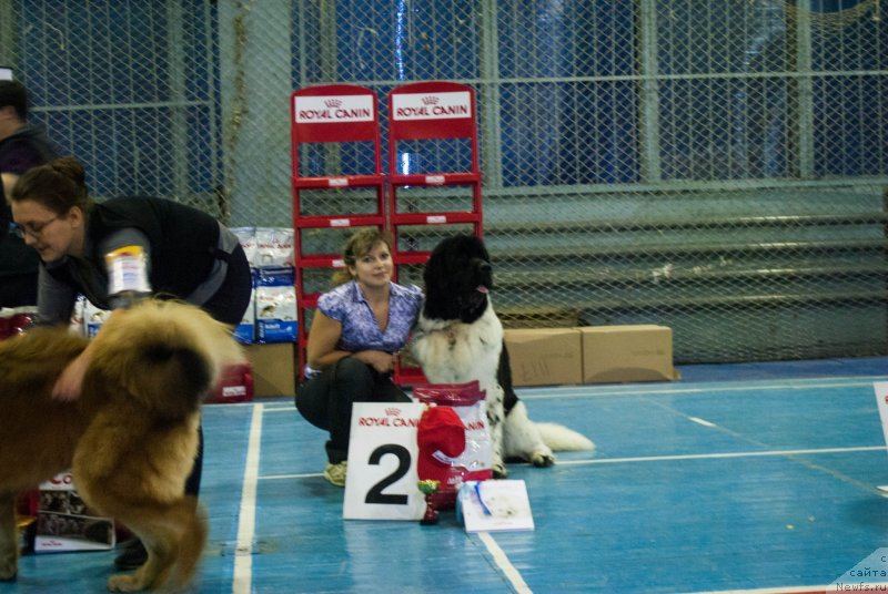 Фотография № 137570