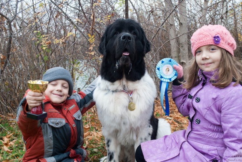 Фотография № 137571