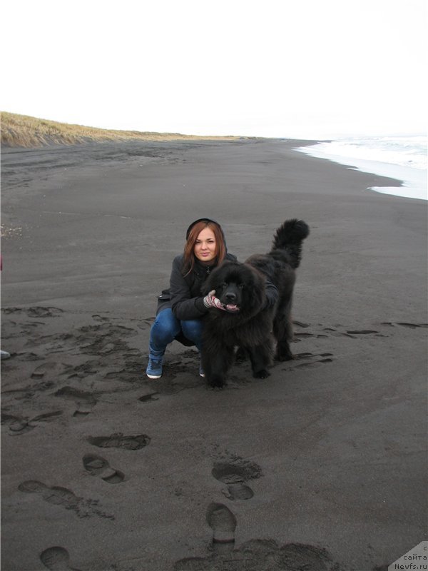 Фотография № 137573