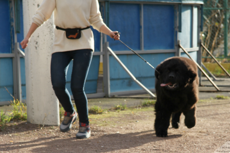 Фотография № 137575