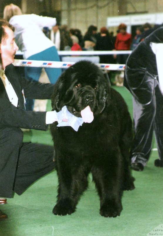 Фотография № 137578