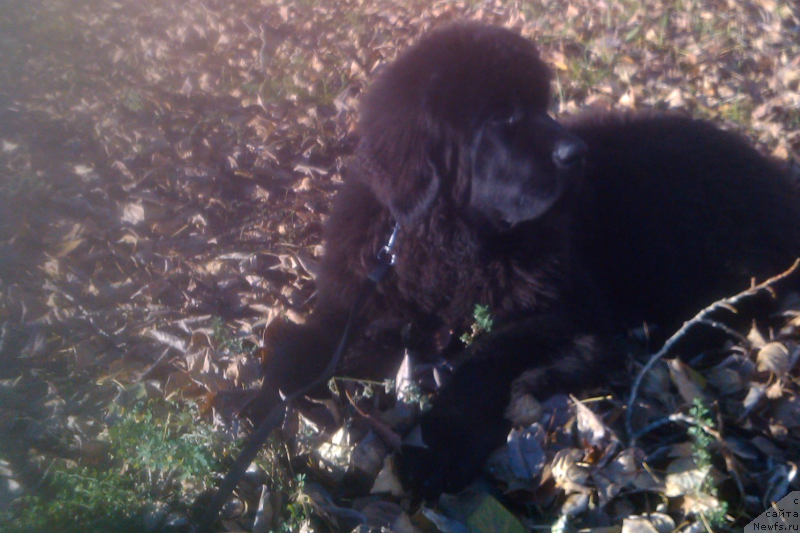 Фотография № 137591