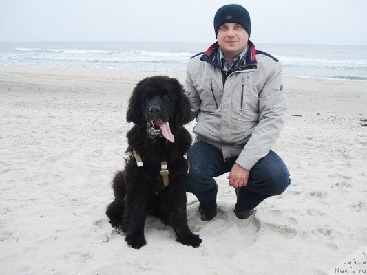 Фотография № 137593