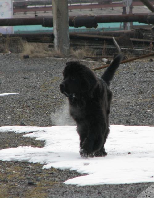 Фотография № 13760