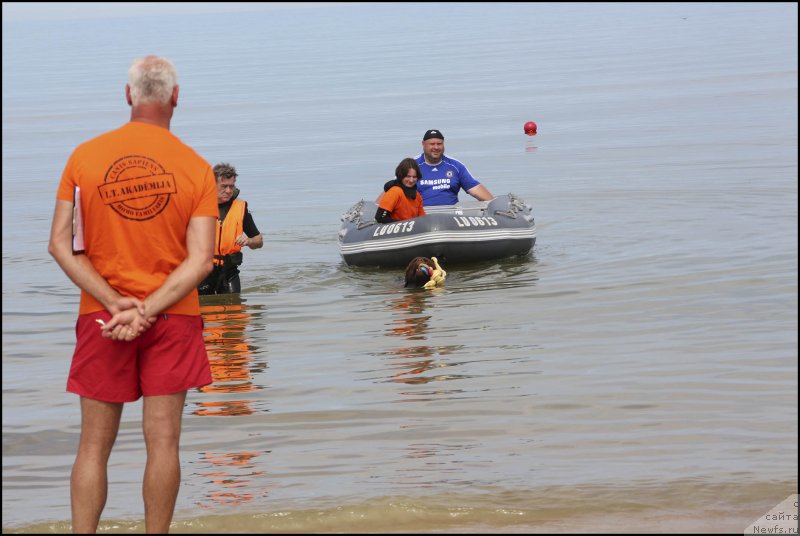 Фотография № 137604