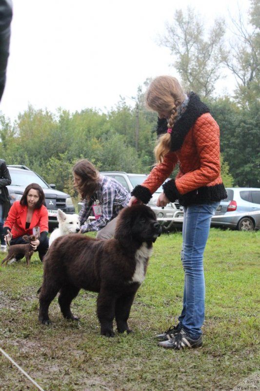 Фотография № 137654