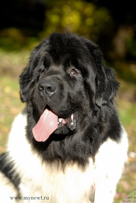 Фотография № 137711