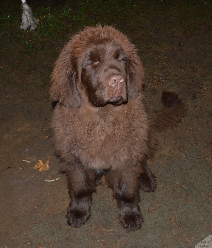 Фотография № 137726