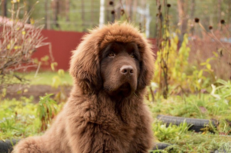 Фотография № 137731