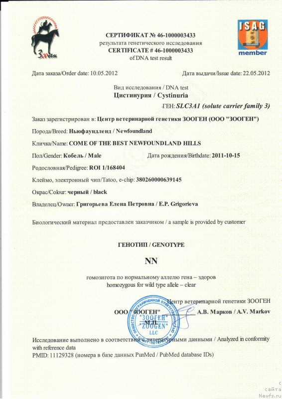 Фото: ньюфаундленд Come of The Best Newfoundland Hills