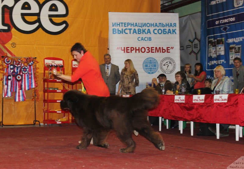 Фотография № 137853