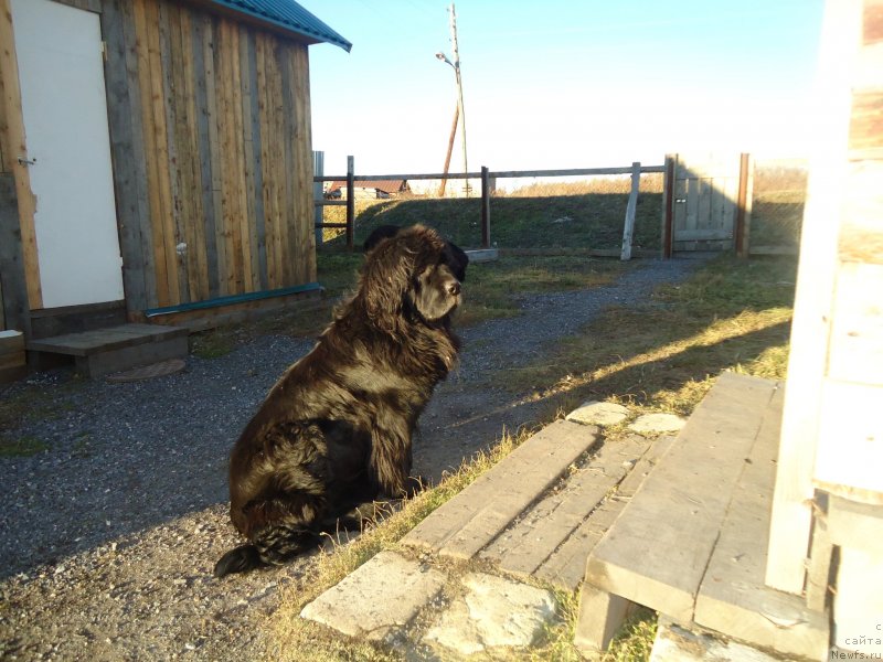 Фотография № 137891