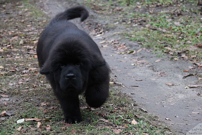 Фотография № 137936