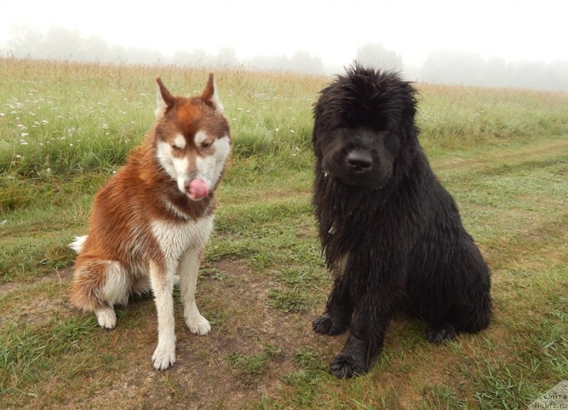 Фотография № 137954