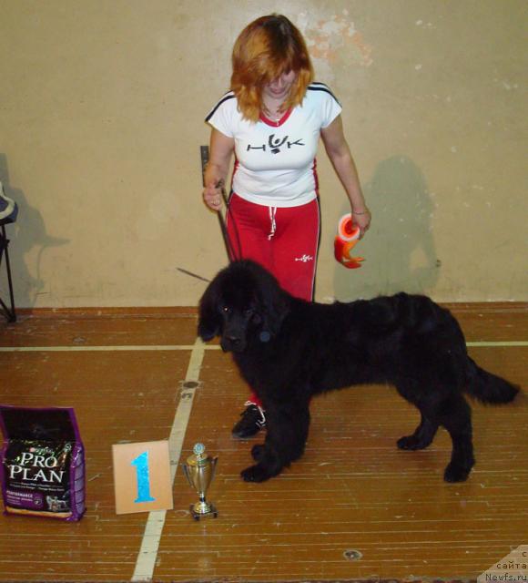 Фотография № 13796