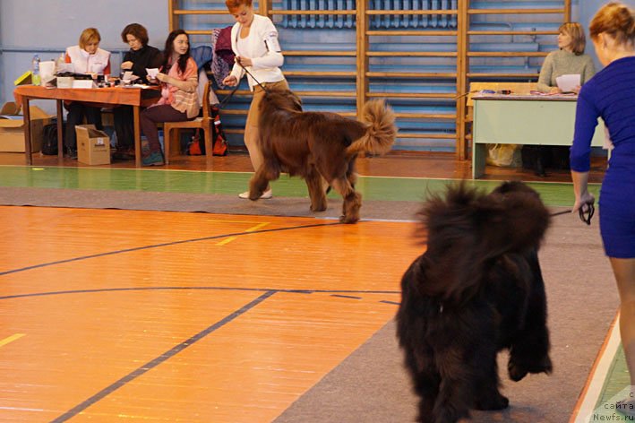 Фотография № 137971