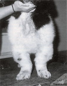 Фотография № 138057