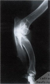 Фотография № 138058