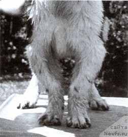 Фотография № 138060