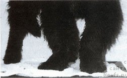 Фотография № 138061