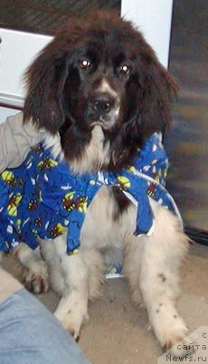 Фотография № 138063