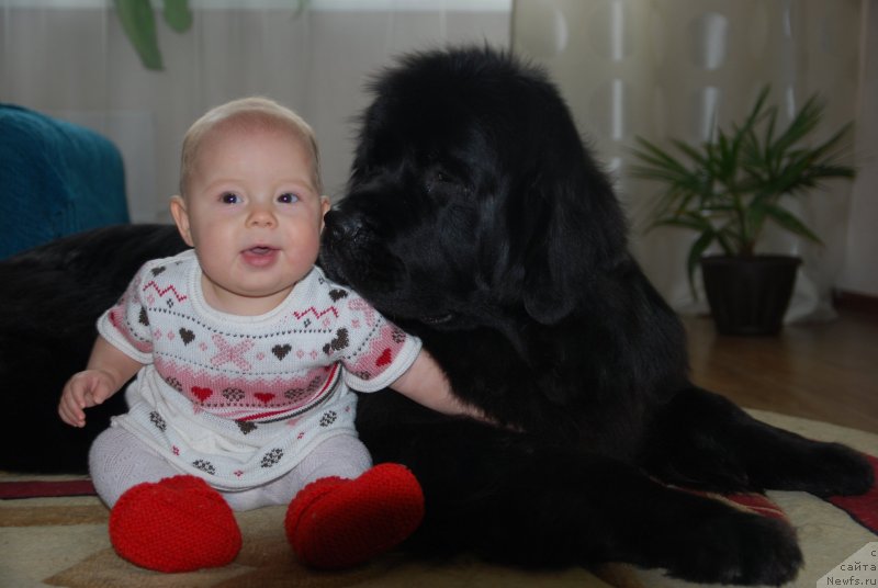 Фотография № 138074