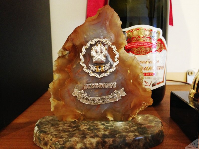 Фотография № 138083