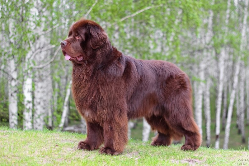 Фотография № 138089