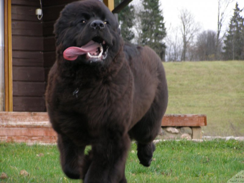 Фотография № 138106