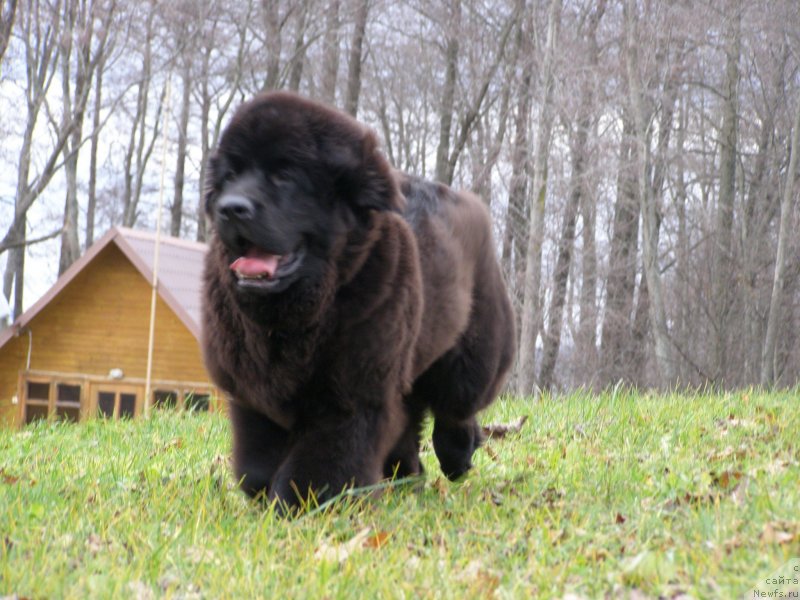 Фотография № 138110