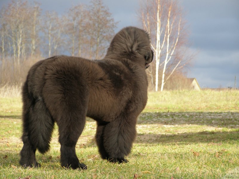 Фотография № 138117