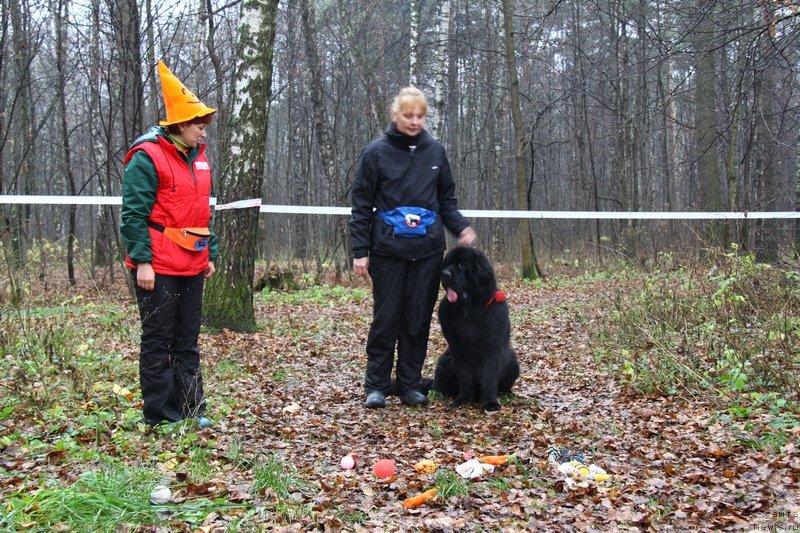 Фотография № 138156