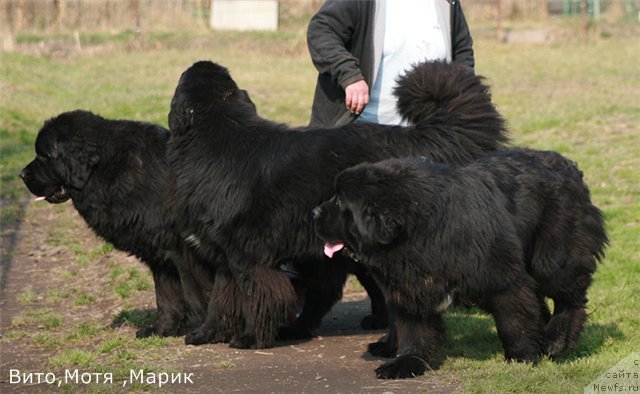 Фото: Al'bina Malinina (Альбина Малинина)