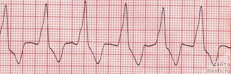 Фотография № 138336