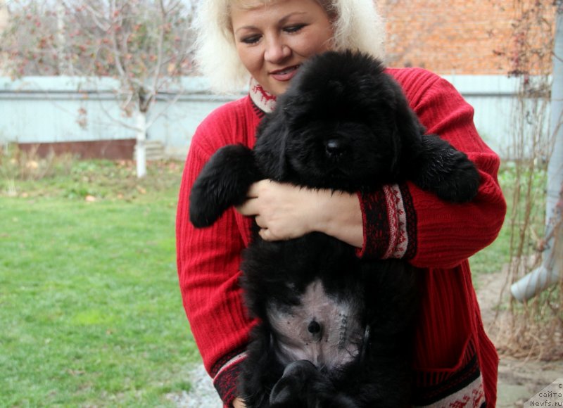 Фото: Venturous Scheme  Dinastiya Soverchenstva.