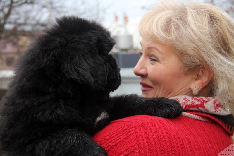 Фото: – Venturous Scheme  Dinastiya Soverchenstva